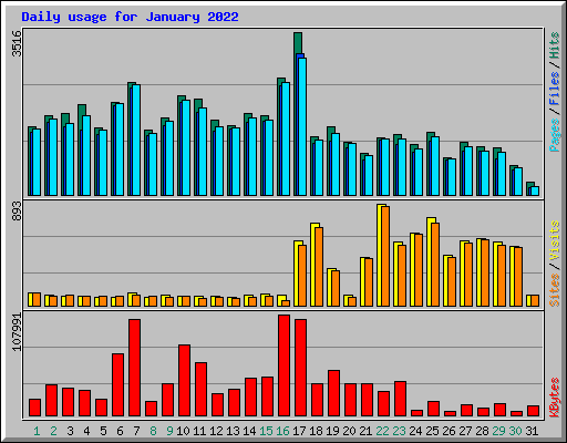 Daily usage for January 2022