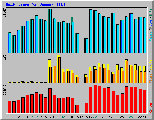 Daily usage for January 2024