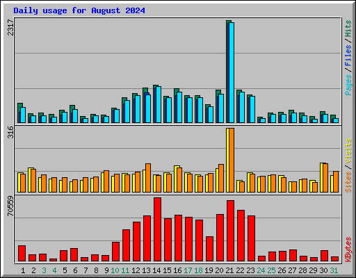 Daily usage for August 2024
