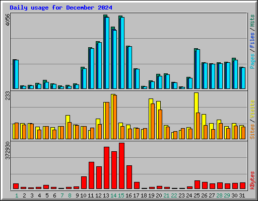 Daily usage for December 2024