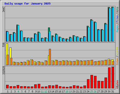 Daily usage for January 2025