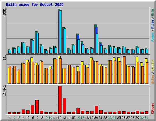 Daily usage for August 2025