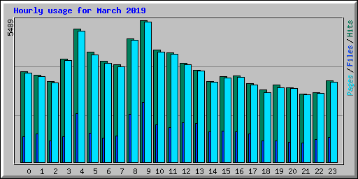 Hourly usage for March 2019