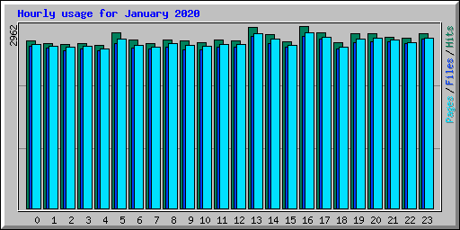 Hourly usage for January 2020