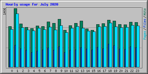 Hourly usage for July 2020