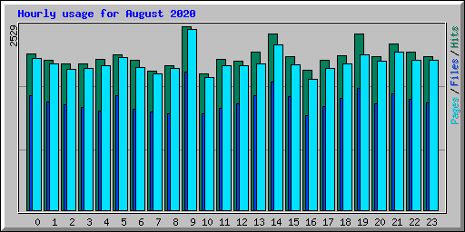 Hourly usage for August 2020