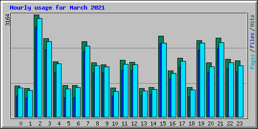 Hourly usage for March 2021