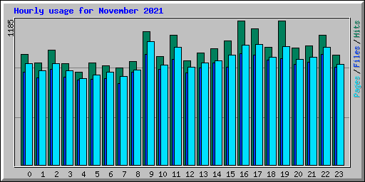 Hourly usage for November 2021