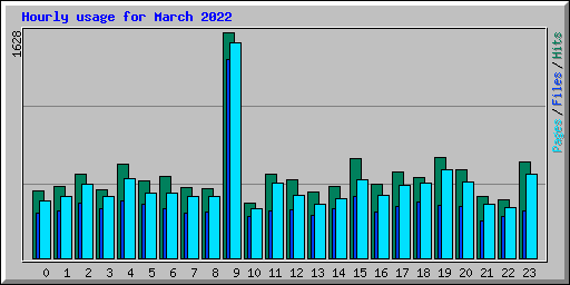 Hourly usage for March 2022