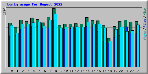 Hourly usage for August 2022