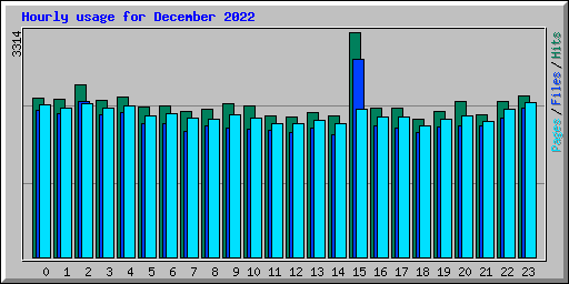 Hourly usage for December 2022