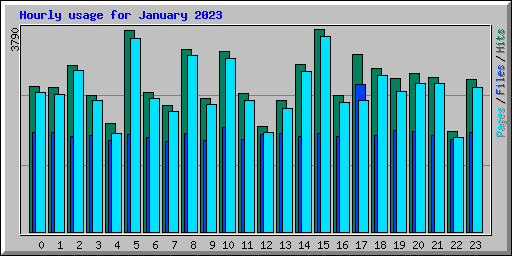 Hourly usage for January 2023