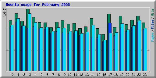 Hourly usage for February 2023