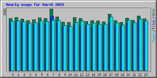 Hourly usage for March 2023