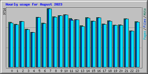 Hourly usage for August 2023