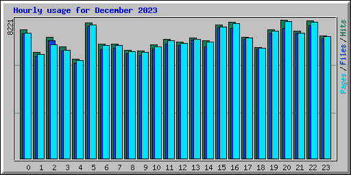 Hourly usage for December 2023