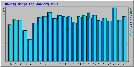 Hourly usage for January 2024