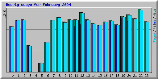 Hourly usage for February 2024