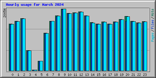 Hourly usage for March 2024