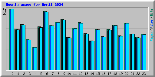 Hourly usage for April 2024