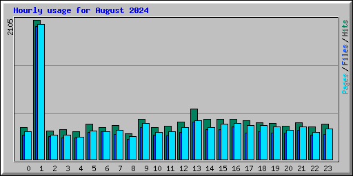 Hourly usage for August 2024