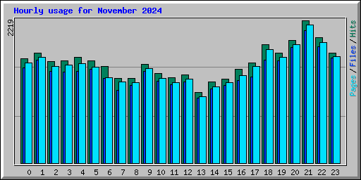 Hourly usage for November 2024