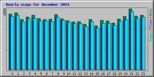 Hourly usage for December 2024