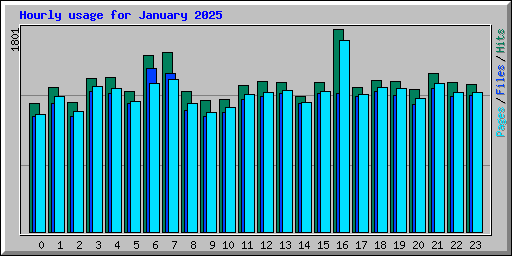 Hourly usage for January 2025