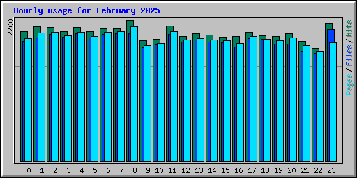 Hourly usage for February 2025