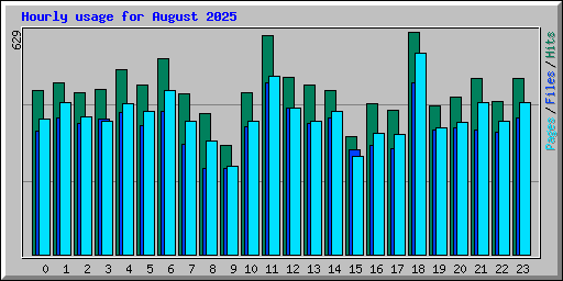 Hourly usage for August 2025
