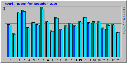 Hourly usage for December 2025