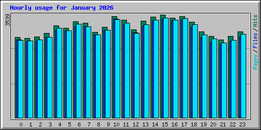 Hourly usage for January 2026